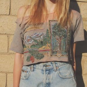 Vintage Thrashed Gray Redwoods Graphic Crop Top